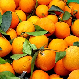 ORANGES
