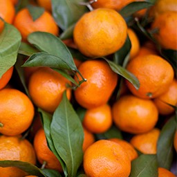 TANGERINES