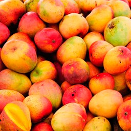 MANGO