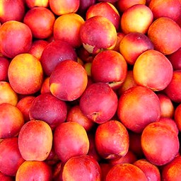 NECTARINES