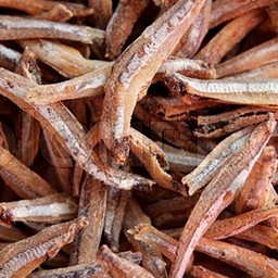 SALTED FISH