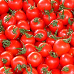 TOMATO RED