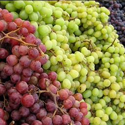 GRAPES