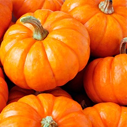 PUMPKINS