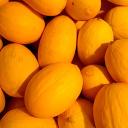 MELONS