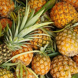 PINEAPPLES