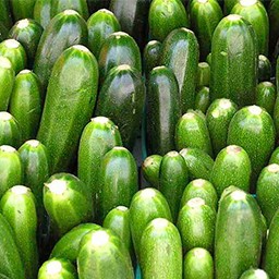 ZUCCHINI