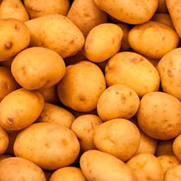POTATO