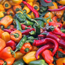 PEPPERS