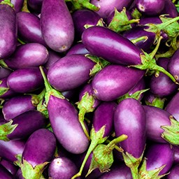 EGGPLANT