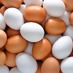 EGGS