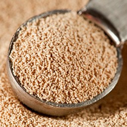 YEAST